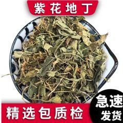 紫花地丁 草苦地丁 草铧头草 光瓣堇菜犁头草