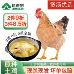 粗栗树（CULISHU）皖南老母鸡土鸡走地鸡